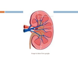 Image is taken from google
 