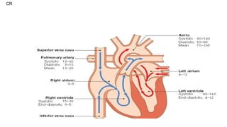CASE PRESENTATION: RHEUMATIC HEART DISEASE.ppt