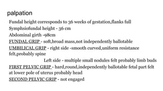 palpation
Fundal height corresponds to 36 weeks of gestation,flanks full
Symphsiofundal height - 36 cm
Abdominal girth -98cm
FUNDAL GRIP - soft,broad mass,not independently ballotable
UMBILICAL GRIP - right side -smooth curved,uniform resistance
felt,probably spine
Left side - multiple small nodules felt probably limb buds
FIRST PELVIC GRIP - hard,round,independently ballotable fetal part felt
at lower pole of uterus probably head
SECOND PELVIC GRIP - not engaged
 