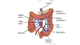 CASE REPORT - CARCINOMA RECTAL tumor.pptx