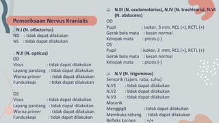 Visus Normal stroke.pdf