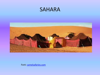 SAHARA
Font: camelsafaries.com