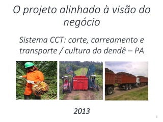 1
O projeto alinhado à visão do
negócio
Sistema CCT: corte, carreamento e
transporte / cultura do dendê – PA
2013
 