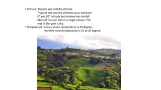 • Climate: Tropical wet and dry climate
• Temperature: annual mean temperature is 24 degree.
monthly mean temperature is 15 to 20 degree.
Tropical wet and dry climates occur between
5° and 20° latitude and receive less rainfall.
Most of the rain falls in a single season. The
rest of the year is dry.
 