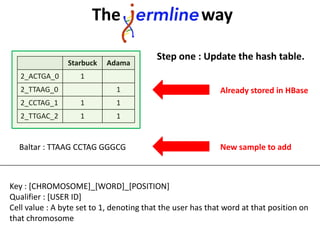 Step one : Update the hash table.
Starbuck Adama
2_ACTGA_0 1
2_TTAAG_0 1
2_CCTAG_1 1 1
2_TTGAC_2 1 1
Already stored in HBase
Baltar : TTAAG CCTAG GGGCG New sample to add
Key : [CHROMOSOME]_[WORD]_[POSITION]
Qualifier : [USER ID]
Cell value : A byte set to 1, denoting that the user has that word at that position on
that chromosome
The way
 