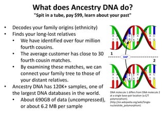 DNA molecule 1 differs from DNA molecule 2
at a single base-pair location (a C/T
polymorphism).
(http://en.wikipedia.org/wiki/Single-
nucleiotide_polymorphism)
What does Ancestry DNA do?
"Spit in a tube, pay $99, learn about your past"
• Decodes your family origins (ethnicity)
• Finds your long-lost relatives
• We have identified over four million
fourth cousins.
• The average customer has close to 30
fourth cousin matches.
• By examining these matches, we can
connect your family tree to those of
your distant relatives.
• Ancestry DNA has 120K+ samples, one of
the largest DNA databases in the world.
• About 690GB of data (uncompressed),
or about 6.2 MB per sample
 