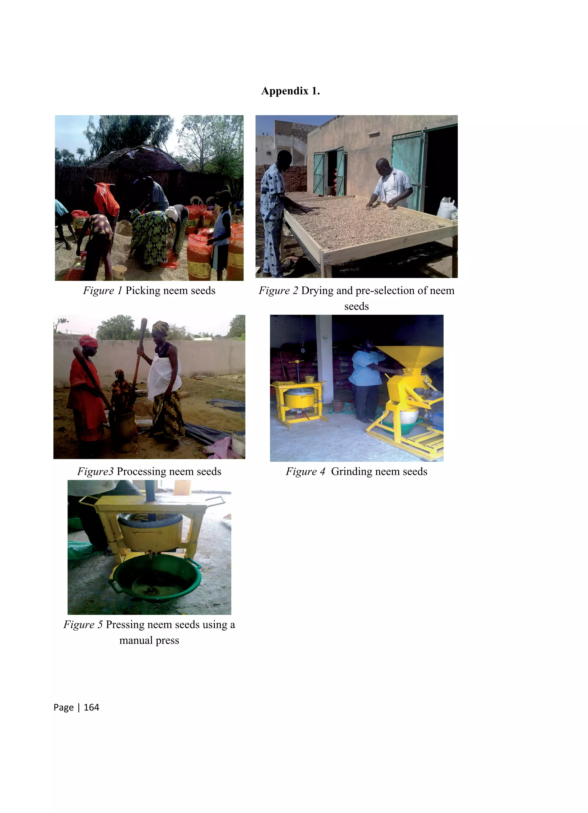 Page | 164
Appendix 1.
Figure 1 Picking neem seeds Figure 2 Drying and pre-selection of neem
seeds
Figure3 Processing neem seeds Figure 4 Grinding neem seeds
Figure 5 Pressing neem seeds using a
manual press
 