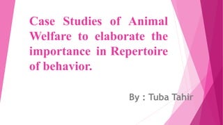 Case Studies of Animal
Welfare to elaborate the
importance in Repertoire
of behavior.
By : Tuba Tahir
 