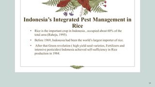 Case studies of successful IPM programmes- International level.pptx