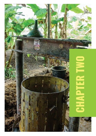 PAGE 10 | OIL PALM CASE STUDY
CHAPTERTWO
 