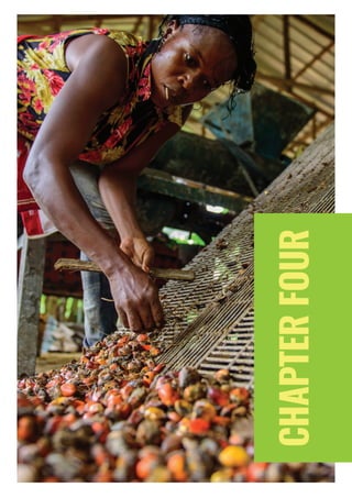 PAGE 24 | OIL PALM CASE STUDY
CHAPTERFOUR
 