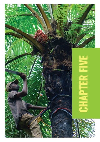 PAGE 26 | OIL PALM CASE STUDY
CHAPTERFIVE
 