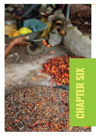 PAGE 32 | OIL PALM CASE STUDY
CHAPTERSIX
 
