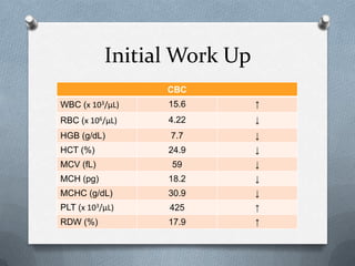 Initial Work Up
CBC
WBC (x 103/µL) 15.6 ↑
RBC (x 106/µL) 4.22 ↓
HGB (g/dL) 7.7 ↓
HCT (%) 24.9 ↓
MCV (fL) 59 ↓
MCH (pg) 18.2 ↓
MCHC (g/dL) 30.9 ↓
PLT (x 103/µL) 425 ↑
RDW (%) 17.9 ↑
 