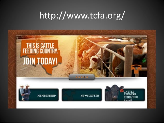 Texas Cattle Feeders Association