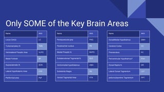 Neurobiology of sleep onset: the Sleep-wake switch | PDF