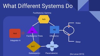 Neurobiology of sleep onset: the Sleep-wake switch | PDF