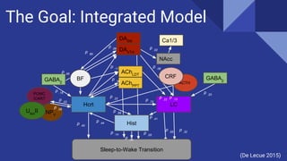 Neurobiology of sleep onset: the Sleep-wake switch | PDF