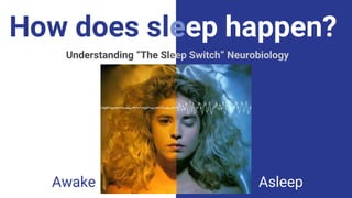 How does sleep happen?
Understanding “The Sleep Switch” Neurobiology
Awake Asleep
 