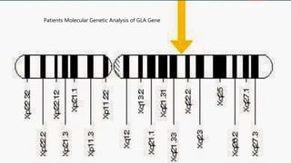 Patients Molecular Genetic Analysis of GLA Gene
 