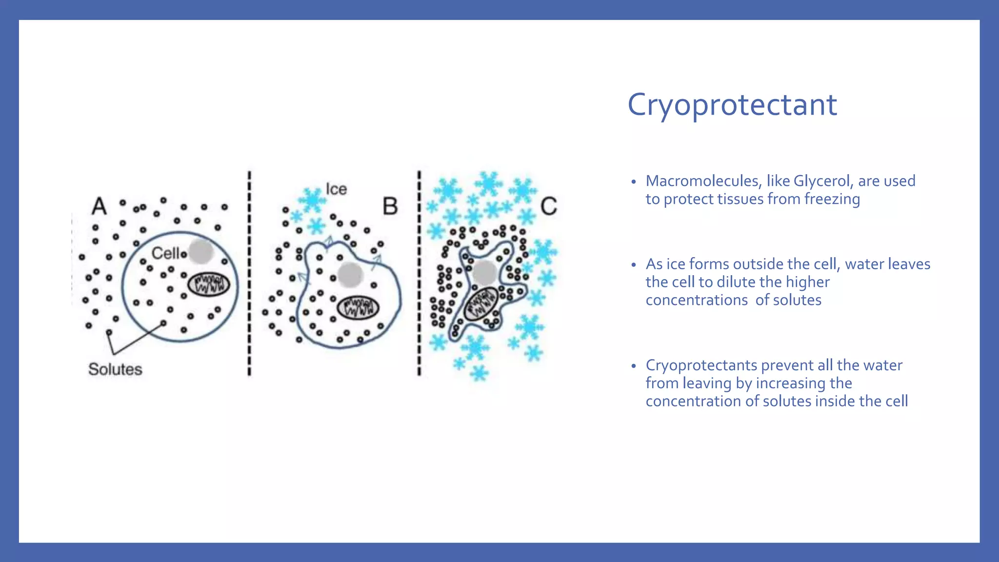 Glycerol and AFP Case study | PPTX