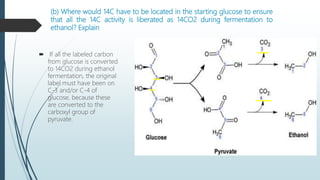 CASE STUDY OF METABOLISM | PPTX