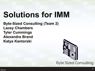 Solutions for IMM
Byte-Sized Consulting (Team 2)
Lacey Chambers
Tyler Cummings
Alexandra Brand
Katya Kantorski
1
 
