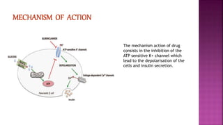 The mechanism action of drug
consists in the inhibition of the
ATP sensitive K+ channel which
lead to the depolarisation of the
cells and insulin secretion.
 