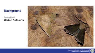 Background
Peppered moth
Biston betularia
Department of Genetics and Plant Breeding
GPB 607 (3+0) - Dr. K N Ganeshaiah
 