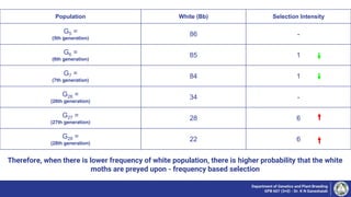 Population White (Bb) Selection Intensity
G5 =
(5th generation)
86 -
G6 =
(6th generation)
85 1
G7 =
(7th generation)
84 1
G26 =
(26th generation)
34 -
G27 =
(27th generation)
28 6
G28 =
(28th generation)
22 6
Department of Genetics and Plant Breeding
GPB 607 (3+0) - Dr. K N Ganeshaiah
Therefore, when there is lower frequency of white population, there is higher probability that the white
moths are preyed upon - frequency based selection
 