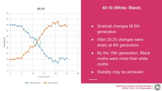 40:10 (White: Black)
● Gradual changes till 6th
generation
● After 25:25 changes were
sharp at 6th generation
● By the 15th generation, Black
moths were more than white
moths
● Stability may be achieved
Department of Genetics and Plant Breeding
GPB 607 (3+0) - Dr. K N Ganeshaiah
 