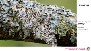 THANK YOU
Department of Genetics and Plant Breeding
GPB 607 (3+0) - Dr. K N Ganeshaiah
Brahmesh Reddy B R
Aishwarya G
Sinchana K
PhD Scholars
UAS,GKVK, Bangalore
 