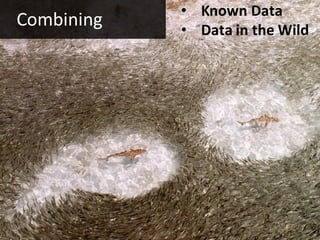 • Known Data
Combining   • Data in the Wild
 