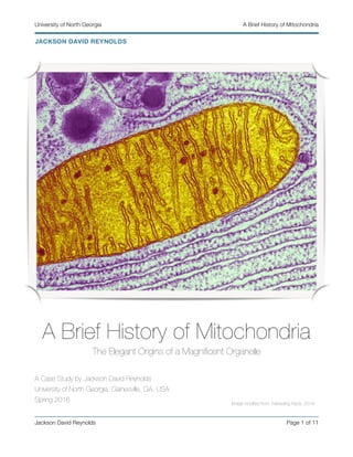 University of North Georgia A Brief History of Mitochondria
Jackson David Reynolds Page 1 of 11
A Brief History of Mitochondria
The Elegant Origins of a Magnificent Organelle
A Case Study by Jackson David Reynolds
University of North Georgia, Gainesville, GA, USA
Spring 2016
JACKSON DAVID REYNOLDS
Image modified from: Interesting Facts, 2014.
 