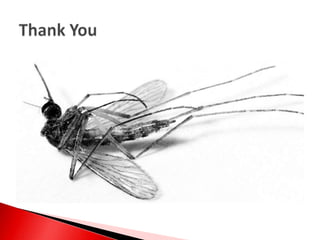 Major profits only through 1 productStrengthsAdvertising Strategy