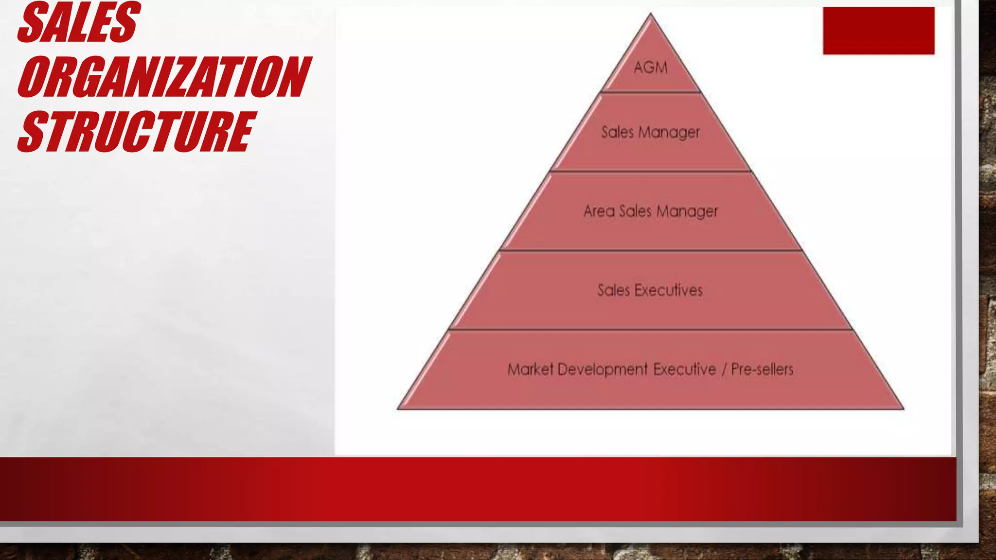 SALES
ORGANIZATION
STRUCTURE
 