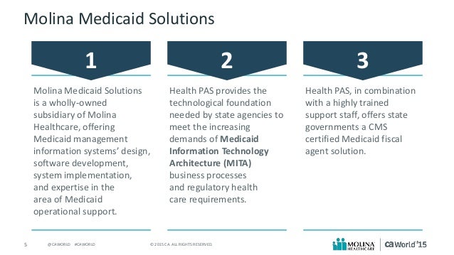 molina medicaid solutions