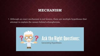 MECHANISM
• Although an exact mechanism is not known, there are multiple hypotheses that
attempt to explain the causes behind schizophrenia.
 