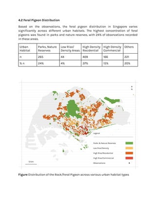4.2 Feral Pigeon Distribution
Based on the observations, the feral pigeon distribution in Singapore varies
significantly across different urban habitats. The highest concentration of feral
pigeons was found in parks and nature reserves, with 24% of observations recorded
in these areas.
Urban
Habitat
Parks, Nature
Reserves
Low Rise/
Density Areas
High Density
Residential
High Density
Commercial
Others
n 265 44 409 166 221
% n 24% 4% 37% 15% 20%
Figure Distribution of the Rock/Feral Pigeon across various urban habitat types
 