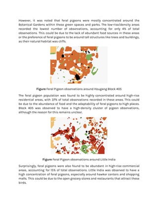 However, it was noted that feral pigeons were mostly concentrated around the
Botanical Gardens within these green spaces and parks. The low-rise/density areas
recorded the lowest number of observations, accounting for only 4% of total
observations. This could be due to the lack of abundant food sources in these areas
or the preference of feral pigeons to be around tall structures like trees and buildings,
as their natural habitat was cliffs.
Figure Feral Pigeon observations around Hougang Block 405
The feral pigeon population was found to be highly concentrated around high-rise
residential areas, with 37% of total observations recorded in these areas. This could
be due to the abundance of food and the adaptability of feral pigeons to high places.
Block 405 was observed to have a high-density cluster of pigeon observations,
although the reason for this remains unclear.
Figure Feral Pigeon observations around Little India
Surprisingly, feral pigeons were also found to be abundant in high-rise commercial
areas, accounting for 15% of total observations. Little India was observed to have a
high concentration of feral pigeons, especially around hawker centers and shopping
malls. This could be due to the open grocery stores and restaurants that attract these
birds.
 