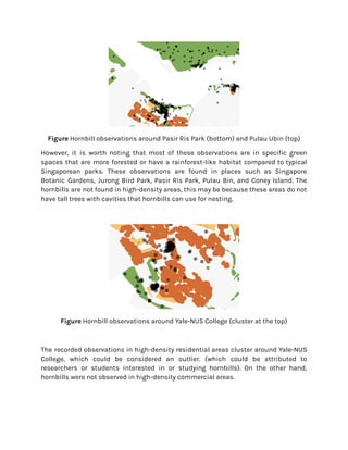 Figure Hornbill observations around Pasir Ris Park (bottom) and Pulau Ubin (top)
However, it is worth noting that most of these observations are in specific green
spaces that are more forested or have a rainforest-like habitat compared to typical
Singaporean parks. These observations are found in places such as Singapore
Botanic Gardens, Jurong Bird Park, Pasir Ris Park, Pulau Bin, and Coney Island. The
hornbills are not found in high-density areas, this may be because these areas do not
have tall trees with cavities that hornbills can use for nesting.
Figure Hornbill observations around Yale-NUS College (cluster at the top)
The recorded observations in high-density residential areas cluster around Yale-NUS
College, which could be considered an outlier. (which could be attributed to
researchers or students interested in or studying hornbills). On the other hand,
hornbills were not observed in high-density commercial areas.
 