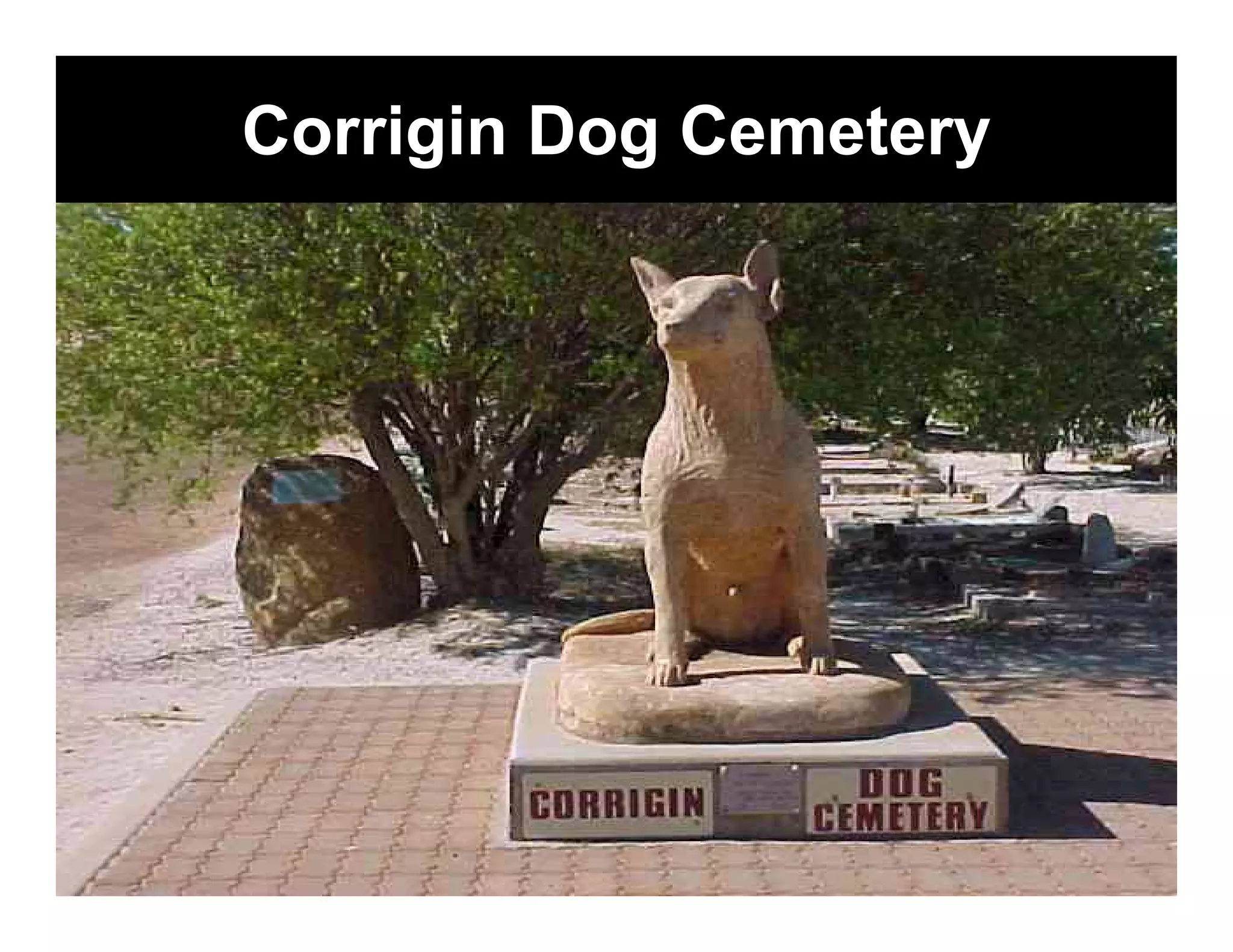 Corrigin Dog Cemetery
 