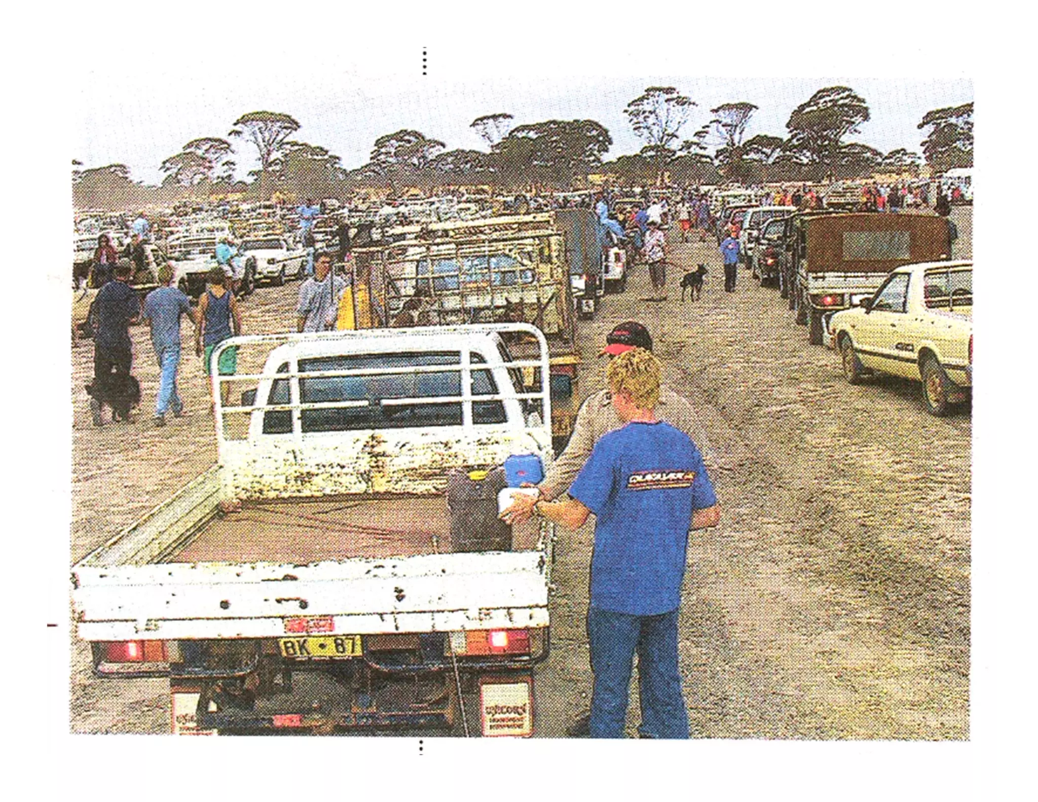 The Dog in the Ute Competition
 
