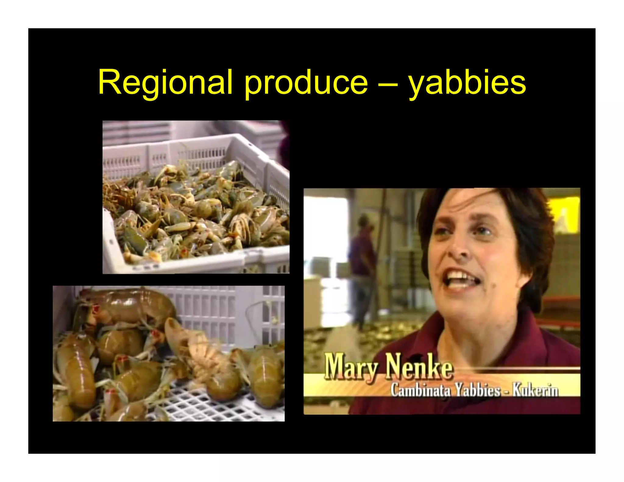Regional produce – yabbies
 