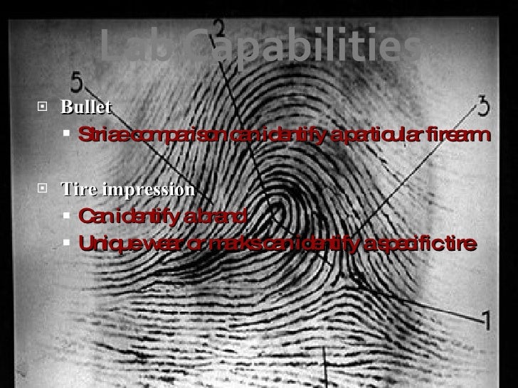 Case study sample pdf picture