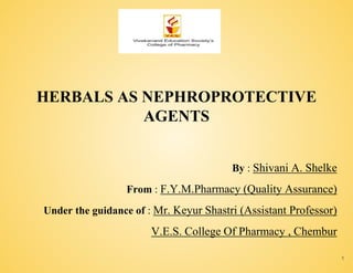 HERBALS AS NEPHROPROTECTIVE
AGENTS
By : Shivani A. Shelke
From : F.Y.M.Pharmacy (Quality Assurance)
Under the guidance of : Mr. Keyur Shastri (Assistant Professor)
V.E.S. College Of Pharmacy , Chembur
1
 