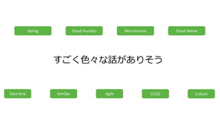 ɫԒꤽ
Spring Cloud Foundry Cloud Native
CultureAgile CI/CDData Grid DevOps
Microservice
 