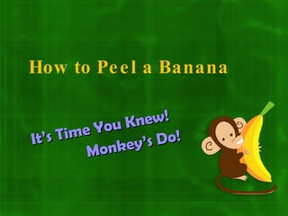 How to Peel a Banana It’s Time You Knew! Monkey’s Do! 