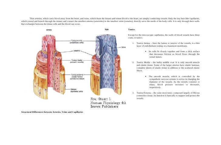 Case study 22 type 1 diabetes mellitus