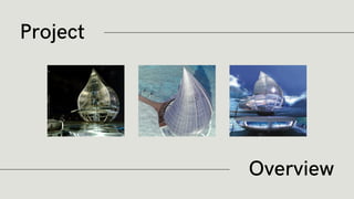 Project
Overview
 